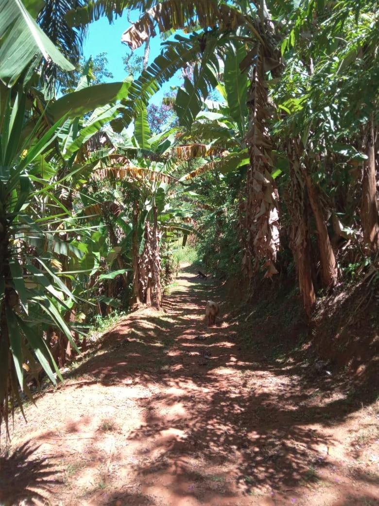 Taubaté Pousada Casa Mato מראה חיצוני תמונה